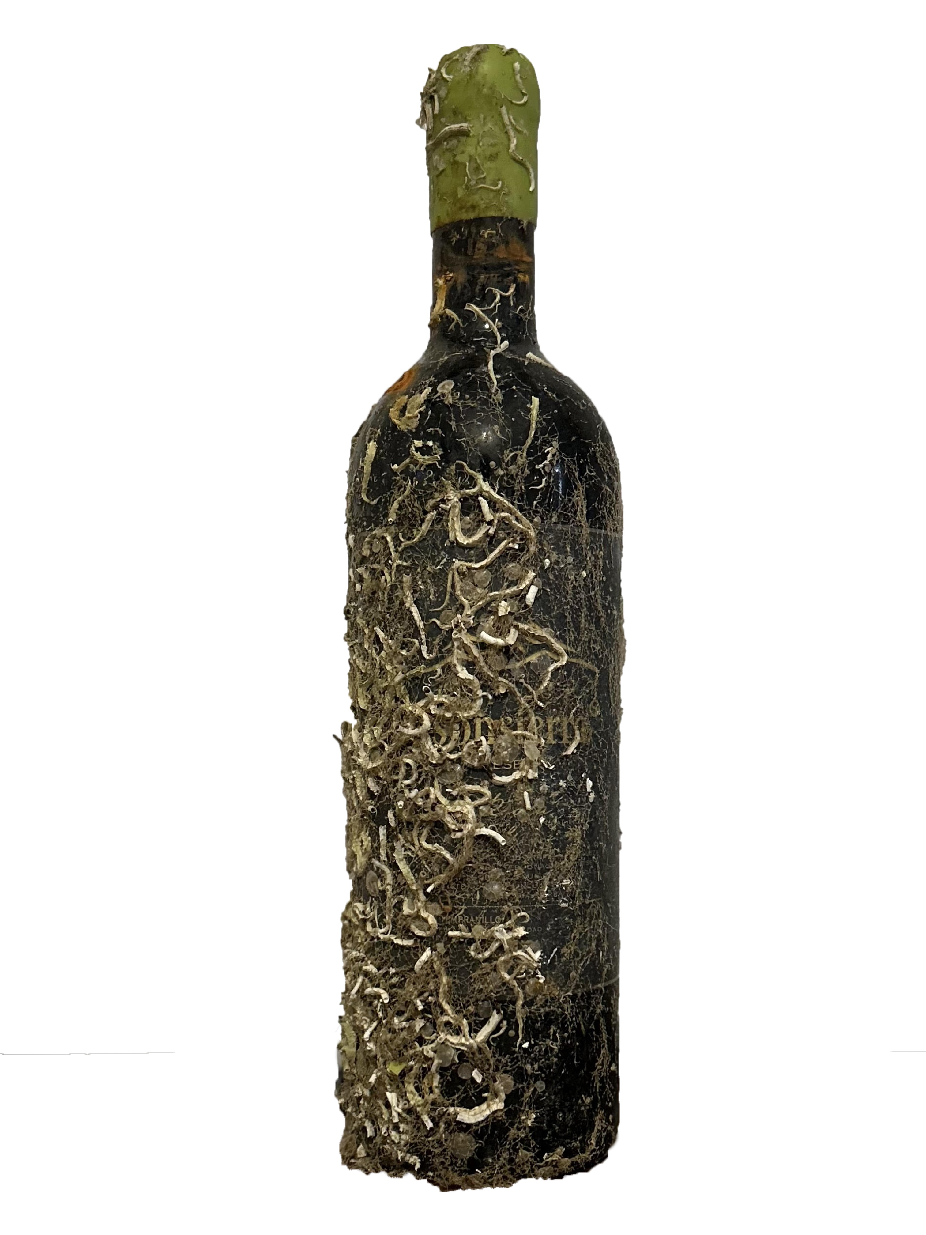 Coral Wine Bodegas Sonsierra Rioja Reserva 